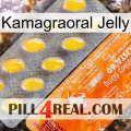 Kamagraoral Jelly new05